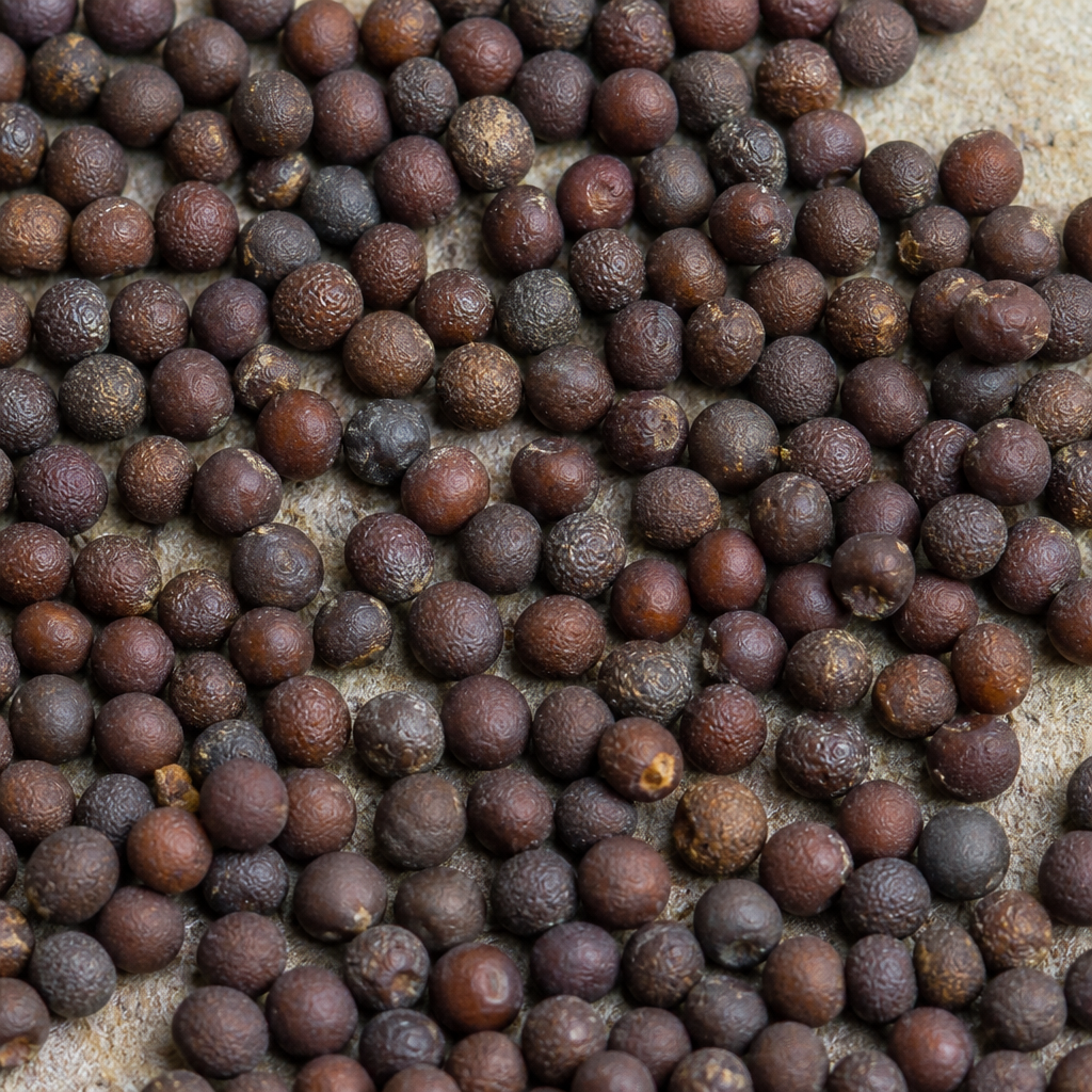 Seeds